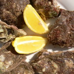 oysters1