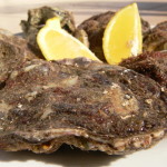 oysters3