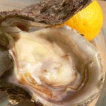 oysters5